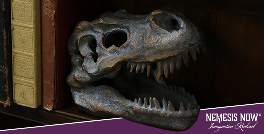 T-Rex-Schädel 16cm | Wieder auf Lager