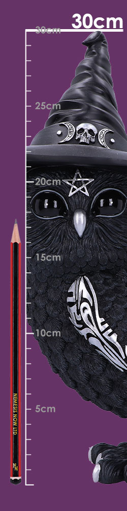Owlocen 30cm (Large)