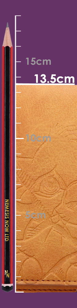 Disney Lion King Simba Baguette Bag 26.5cm