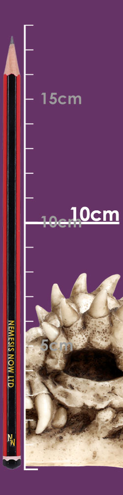 Draco Skull Incense Holder 24cm