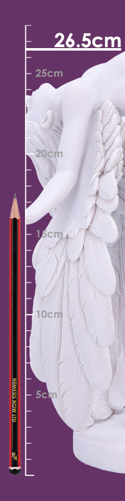 Angels Liberation 26.5cm