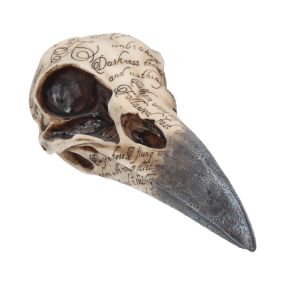 Edgar's Raven Skull 21cm Animal Skulls Wieder auf Lager
