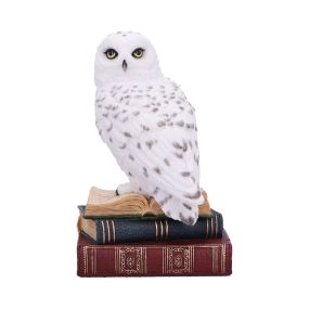 Library of Wisdom 17cm Owls Demnächst verfügbar