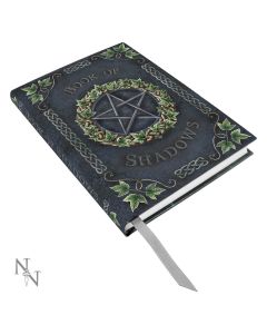 Embossed Book of Shadows Ivy 17cm Witchcraft & Wiccan Gifts Under £100