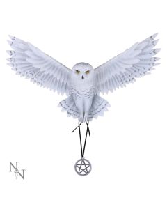 Awaken your Magic (AS) 45cm Owls Gifts Under £100