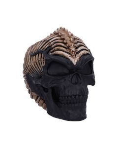Spine Head Skull (JR) 18.5cm Skulls Gotik