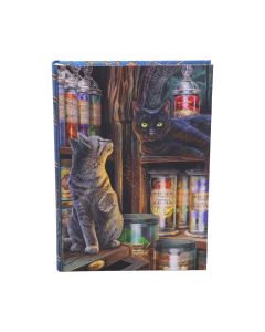 Magical Emporium Journal (LP) 17cm Cats Gifts Under £100