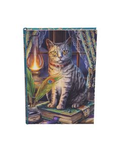 Book of Shadows Journal (LP) 17cm Cats Journals