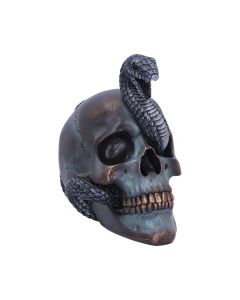 Serpentine Fate 19cm Skulls NN Medium-Figuren