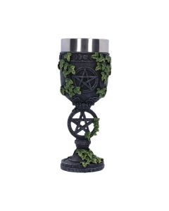Aged Pentagram Goblet 19.5cm Witchcraft & Wiccan Goblets