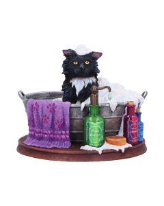 Bath Time (LP) 13.5cm Cats Demnächst verfügbar