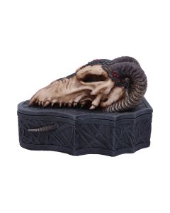 Dragon Skull Box (Monte Moore) 17.7cm Dragons Gifts Under £100