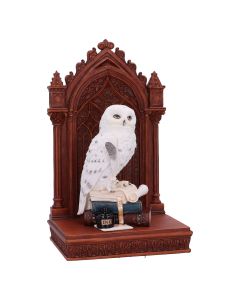 The Scribe's Companion 23.5cm Owls New Arrivals