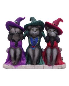 Three Wise Witchy Kittys 15.3cm Cats Gifts Under £100