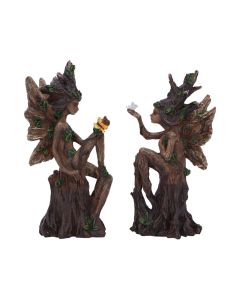 Woodland Beauty (set of 2) 15.5cm Fairies Demnächst verfügbar