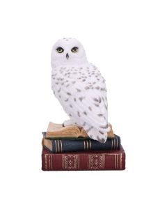 Library of Wisdom Owls Demnächst verfügbar