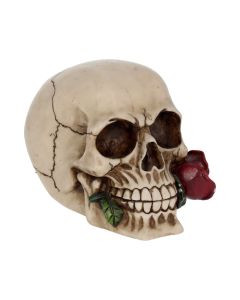 Rose From the Dead 15cm Skulls Gifts Under £100