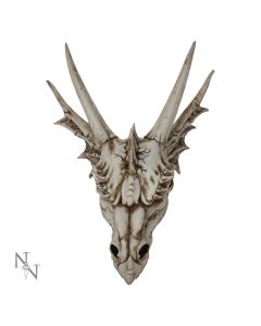 The Last Dragon Skull 32cm Skulls Gifts Under £100