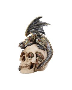Steel Wing Skull 21cm Dragons Out Of Stock
