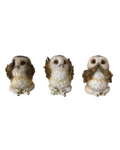 Three Wise Brown Owls 7.5cm Owls Eulen