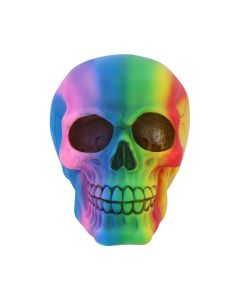 Rainbow 15.5cm Skulls Statues Medium (15cm to 30cm)