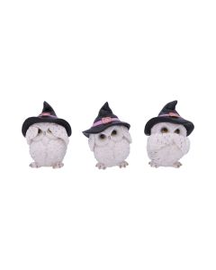 Three Wise Feathered Familiars 9cm Owls Eulen