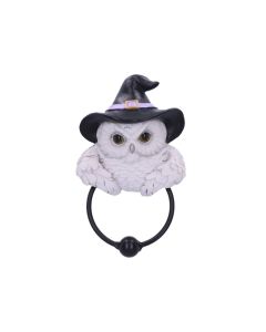 Snowy Magic Door Knocker 21cm Owls Verkaufte Artikel