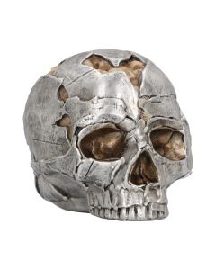 Fracture (Large) 16cm Skulls Schädel