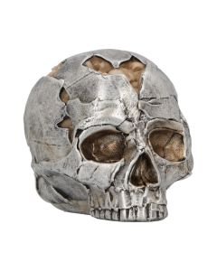 Fracture (Small) 11cm Skulls Statues Small (Under 15cm)