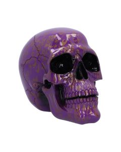 Violet Elegance 18.5cm Skulls Neue Produktveröffentlichungen