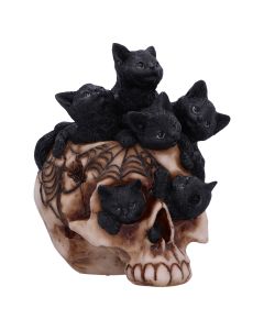 Cranial Litter 14cm Cats Out Of Stock