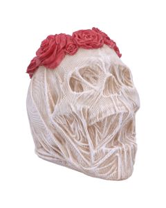 The Veil (Large) Skulls Demnächst verfügbar