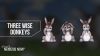 Three Wise Donkey Figurines | Nemesis Now