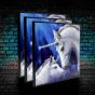 Sacred Love Crystal Clear Picture 40cm Set of 3 Unicorns Gifts Under £100