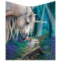 Fairy Whispers Throw (LP) 160cm Unicorns Gifts Under £100