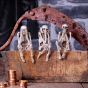 Three Wise Skeleton 10cm Skeletons Gifts Under £100