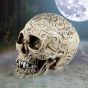 Celtic Skull Box 20cm Skulls Gifts Under £100