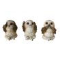 Three Wise Brown Owls 7.5cm Owls Gifts Under £100