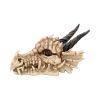 Dragon Skull Box 20cm Skulls Gifts Under £100