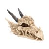 Dragon Skull Box 20cm Skulls Gifts Under £100