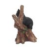 Onyx (NN) 14cm Cats Gifts Under £100