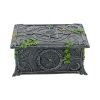 Wiccan Pentagram Tarot Box 17.5cm Witchcraft & Wiccan Gifts Under £100