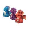 Three Wise Dragonlings 8.5cm Dragons Drachenfiguren