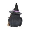 Lucky Black Cat 12cm Cats Gifts Under £100