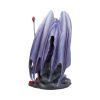 Dragon Mage 24cm (AS) Dragons RRP Under 150