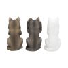 Three Wise Wolves 10cm Wolves Stock Arrivals