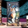 Adventure Awaits Embossed Purse(LP) 18.5cm Cats Gifts Under £100