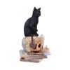 Spirits of Salem (LP) 16.5cm Cats Gifts Under £100