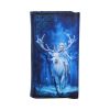 Fantasy Forest Embossed Purse (AS) 18.5cm Fantasy Stock Arrivals