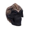 Spine Head Skull (JR) 18.5cm Skulls Out Of Stock
